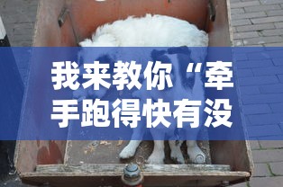 实地探访 ＂约战麻将怎么开挂”其实确实有挂