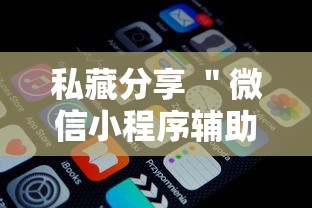 传递经验“掌中宝有挂吗”确实可以使用辅助