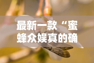 软件精通 ＂新麻圈麻将有没有挂”(透视)辅助透视教程