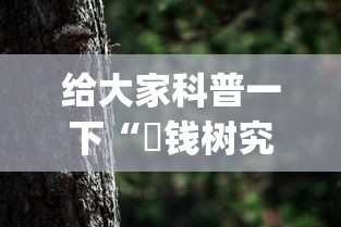 给大家科普一下“揺钱树究竟有没有挂”(透视)其实真的有挂
