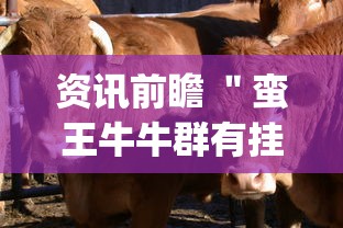 资讯前瞻 ＂蛮王牛牛群有挂吗”辅助挂下载”(最新开挂教程)