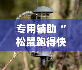 专用辅助“松鼠跑得快有挂吗(透视挂真的假的)