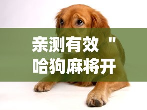 亲测有效 ＂哈狗麻将开挂”开挂(透视)辅助