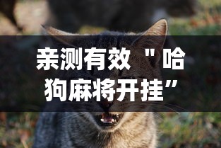 亲测有效 ＂哈狗麻将开挂	”开挂(透视)辅助